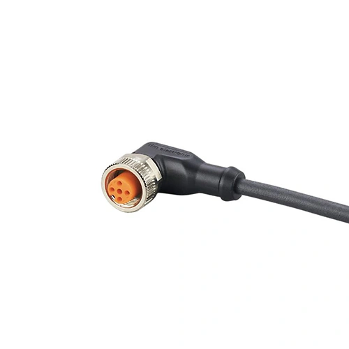Module IFM EVC02E