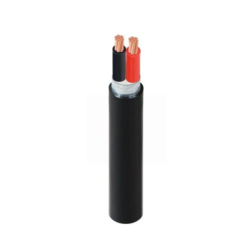 Dây điện Cadivi CVV/DSTA-2x10 -- 56001254
