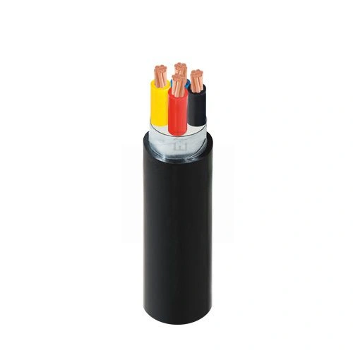 Dây điện Cadivi CVV/DSTA-3x10+1x6 -- 56000928