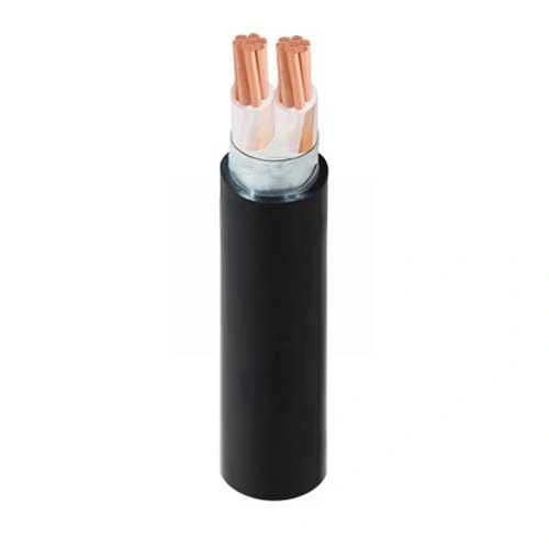 Dây điện Cadivi CXV/DSTA-2x10 -- 56002362
