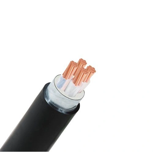 Dây điện Cadivi CXV/DSTA-3x300+1x185 -- 56002630