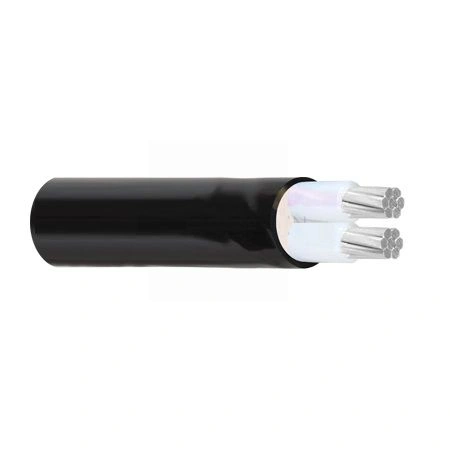 Dây điện Cadivi AXV-2x120 -- 56006219