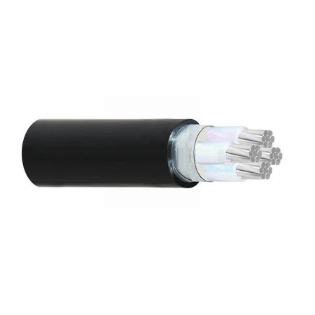 Dây điện Cadivi AXV/DSTA-3x10+1x6 -- 56010620
