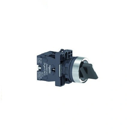 Công tắc Schneider XA2ED21