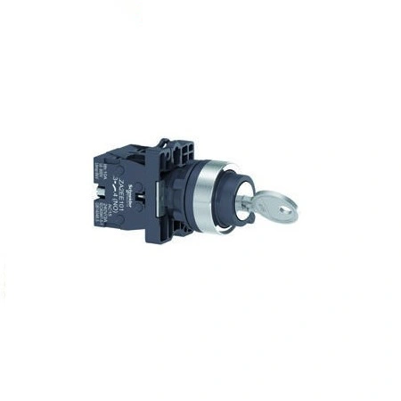 Công tắc Schneider XA2EG03