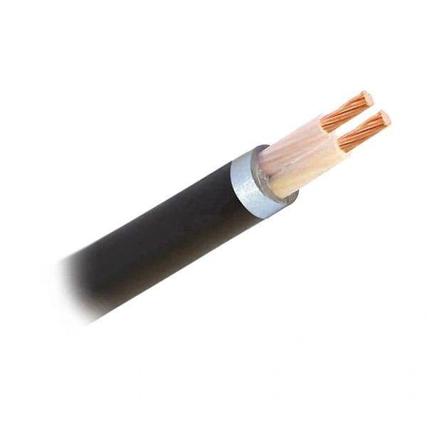 Dây cáp điện Cadisun CXV 2X70