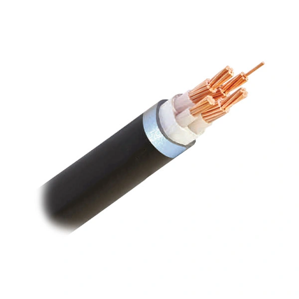 Dây cáp điện Cadisun CXV 3x10+1x6