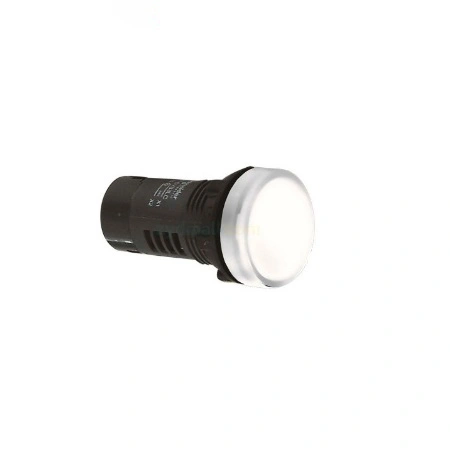 Đèn báo Schneider XA2EVB1LC, 22mm 24V AC/DC