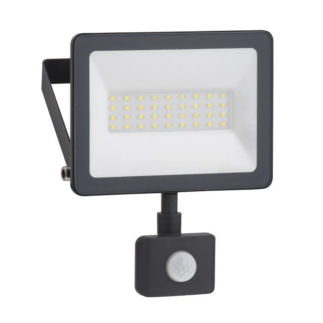 Đèn pha LED Schneider IMT47218 30W (có cảm biến)