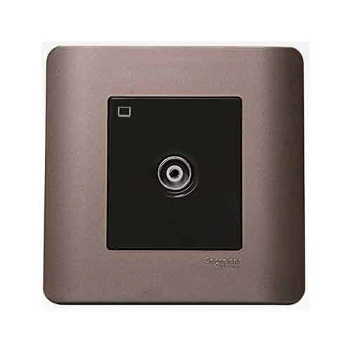 Công tắc và ổ cắm Schneider E8431TVS_SZ_G19
