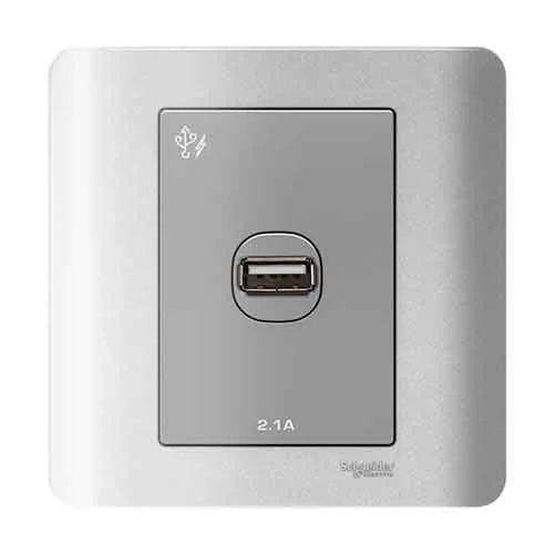 Công tắc và ổ cắm Schneider E8431USB_SA_G19