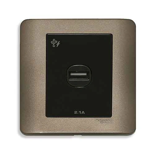 Công tắc và ổ cắm Schneider E8431USB_SZ_G19