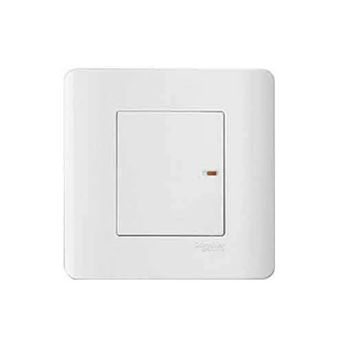 Công tắc và ổ cắm Schneider E8431_I_G19