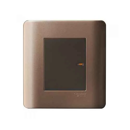 Công tắc và ổ cắm Schneider E8431_I_SZ_G19