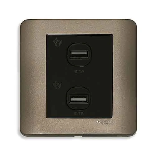 Công tắc và ổ cắm Schneider E8432USB_SZ_G19