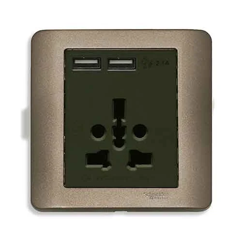 Công tắc và ổ cắm Schneider E8442616USB_SZ_G19
