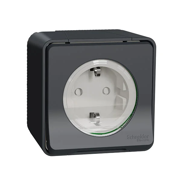 Công tắc và ổ cắm Schneider MUR36034