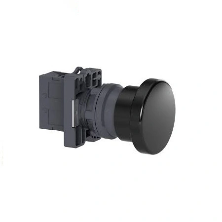Nút nhấn Schneider XA2EC21