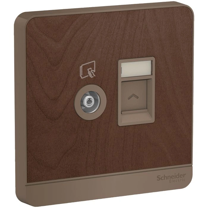Công tắc và ổ cắm Schneider E8332TVRJS5_WD_G19