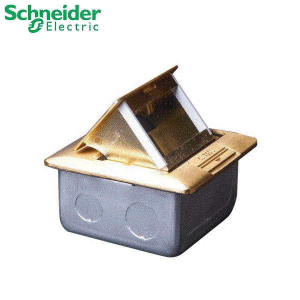 Ổ cắm và Phích cắm Schneider E224F_BAS