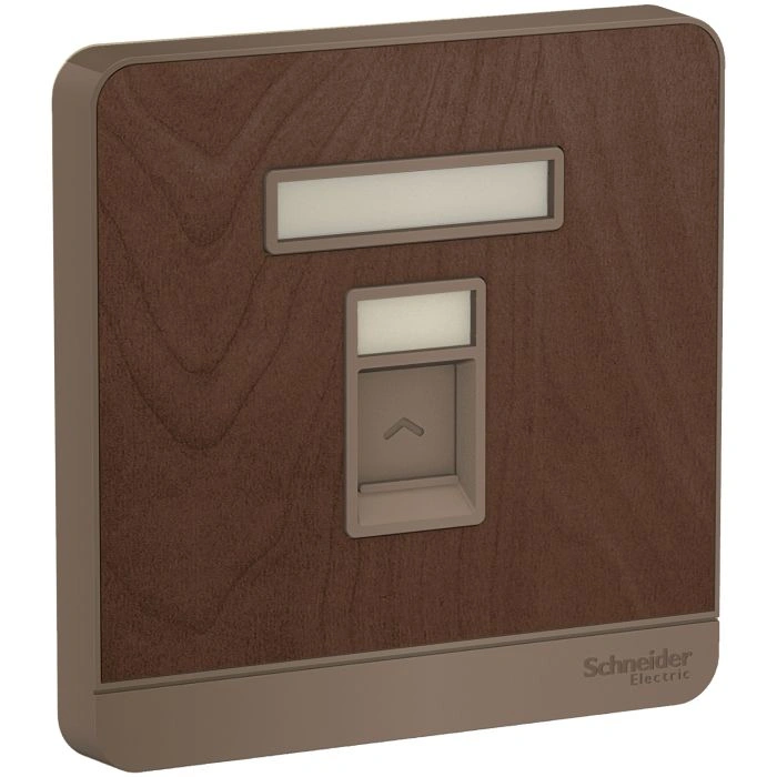 Công tắc và ổ cắm Schneider E8331RJS5_WD_G19