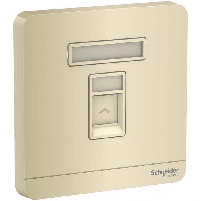 Công tắc và ổ cắm Schneider E8331RJS5_WG_G19