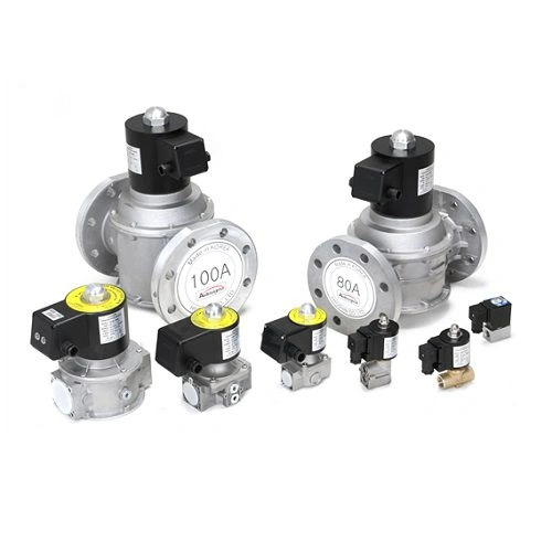 Van điện từ Autosigma HDG-EX 2008 Ren 1/4″ Coil 220V