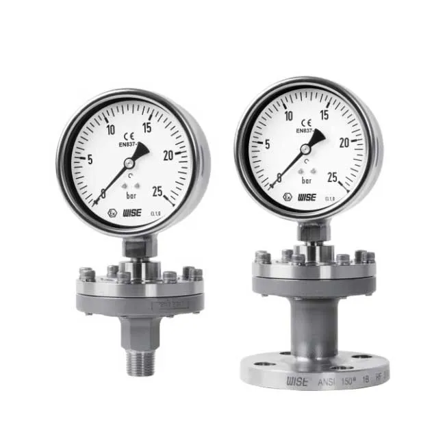 Đồng hồ đo áp suất Wise Wise P710