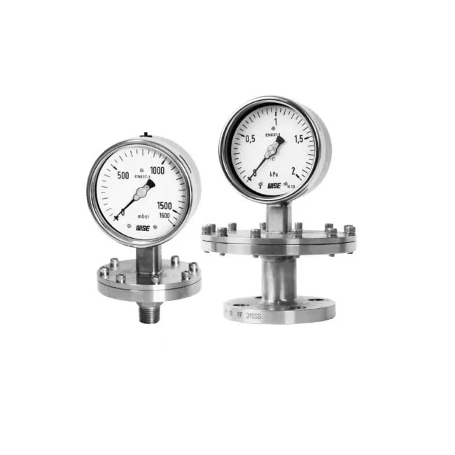 Đồng hồ đo áp suất Wise Wise P770