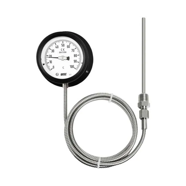 Đồng hồ đo nhiệt độ Wise Wise T212