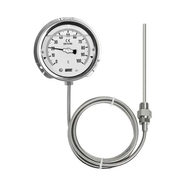 Đồng hồ đo nhiệt độ Wise Wise T219
