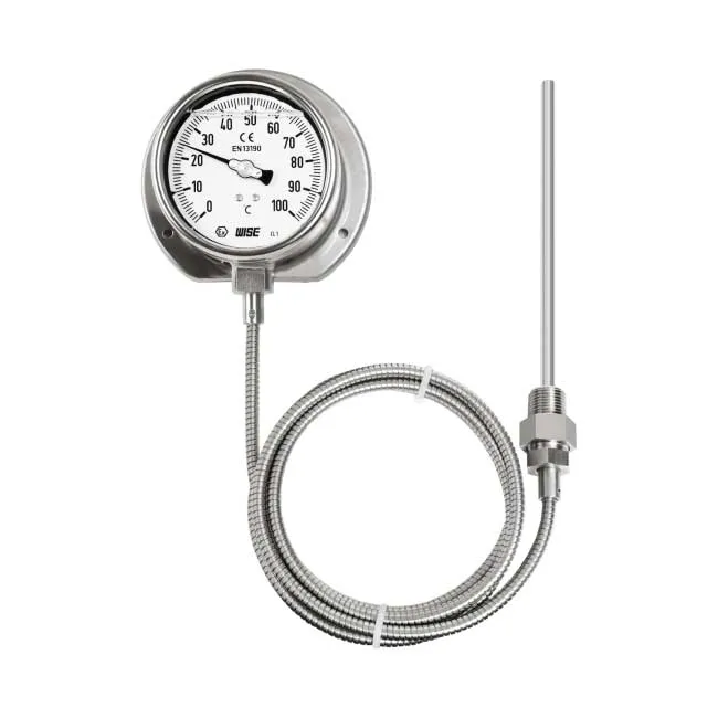 Đồng hồ đo nhiệt độ Wise Wise T239