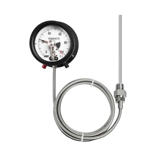 Đồng hồ đo nhiệt độ sản xuất: WISE Wise T710