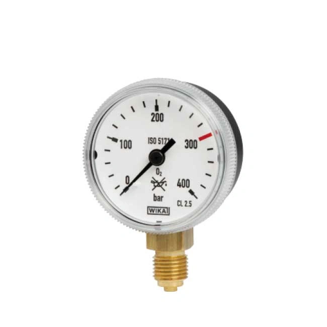 Đồng hồ đo áp suất Wika Wika 111.31