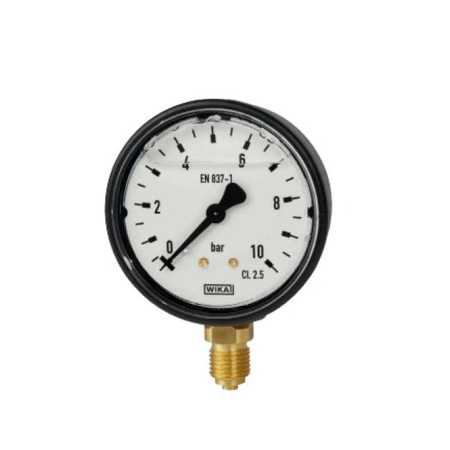 Đồng hồ đo áp suất Wika Wika 113.13
