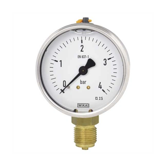 Đồng hồ đo áp suất Wika Wika 113.53