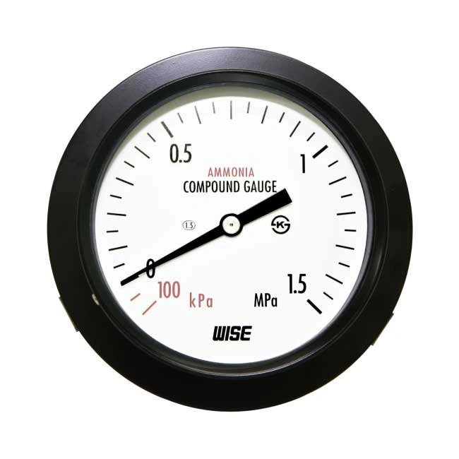 Đồng hồ đo áp suất Wise Wise P111