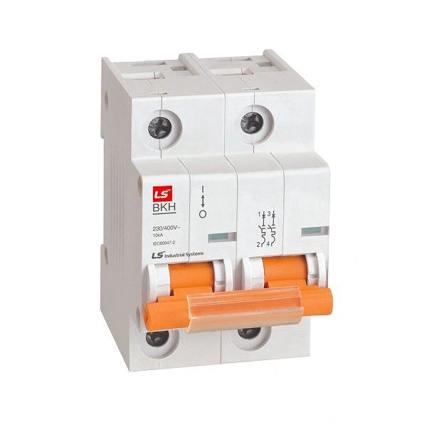 MCB LS BKH 2P 100A