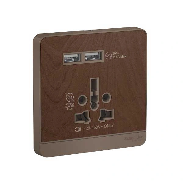 Công tắc và ổ cắm Schneider E8342616USB_WD