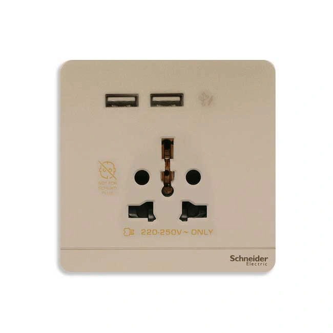 Công tắc và ổ cắm Schneider E8342616USB_WG_G19