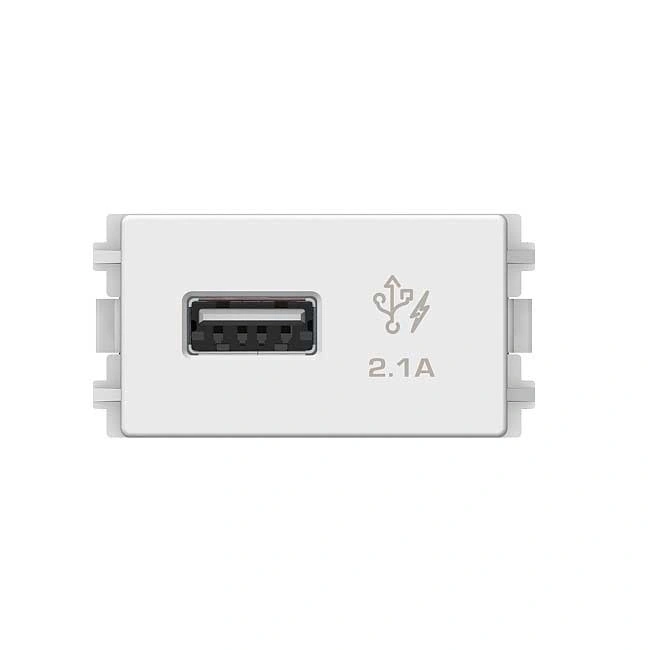 Công tắc và ổ cắm Schneider 8431USB_WE