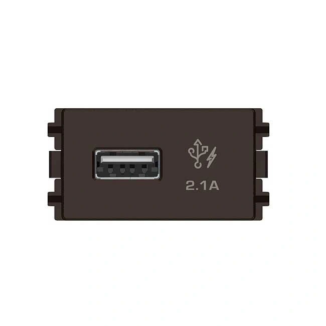 Công tắc và ổ cắm Schneider 8431USB_BZ