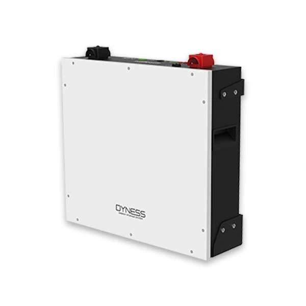 Tấm Pin & Pin lưu trữ Dyness Dyness DL5.0C