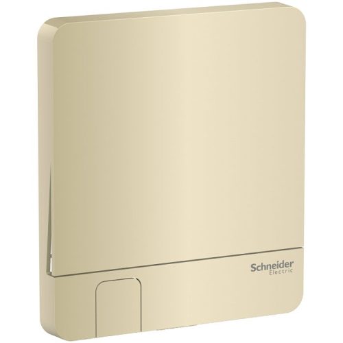 Mặt cho 1 công tắc màu vàng ánh kim E8331KH Series Schneider