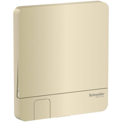 Mặt cho 1 công tắc màu vàng ánh kim E8331KH_WG_G19 Schneider