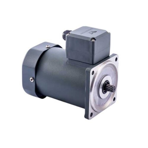 – Motor giảm tốc mini 15W 220V 1 Pha Wanshsin
