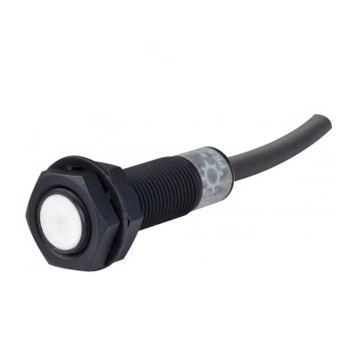 Cảm biến tiệm cận 12mm 2mm NC 110/220V PRA Autonics