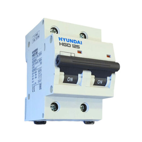[HGD125-2P-100A] MCB 2P 100A 10kA 125AF 415V 5kV Hyundai