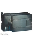 S7-200 CPUs 226 CN